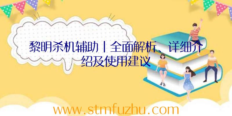 黎明杀机辅助|全面解析、详细介绍及使用建议